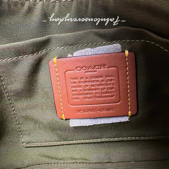 Coach Ashton Bag Shoulder/Crossbody In Glazed Leather/Gold/Olive CBJ01 NWT - Picture 9 of 9